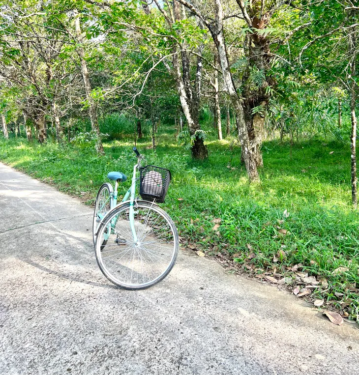 Trải nghiệm cứu hộ động vật hoang dã để thêm yêu đời, yêu muôn loài xung quanh - Ảnh 6. Trải nghiệm cứu hộ động vật hoang dã để thêm yêu đời, yêu muôn loài xung quanh - Ảnh 6.
