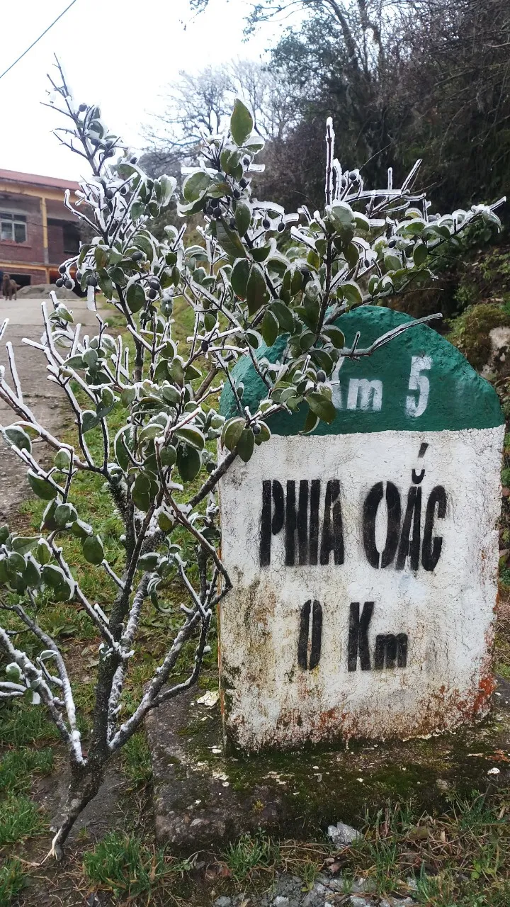 Băng giá phủ trắng đỉnh Phia Oắc và Mẫu Sơn khi nhiệt độ xuống mức âm - Ảnh 2. Băng giá phủ trắng đỉnh Phia Oắc và Mẫu Sơn khi nhiệt độ xuống mức âm - Ảnh 2.