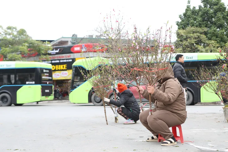 Tiểu thương bán cây cảnh Tết gồng mình trong giá rét - Ảnh 5. Tiểu thương bán cây cảnh Tết gồng mình trong giá rét - Ảnh 5.