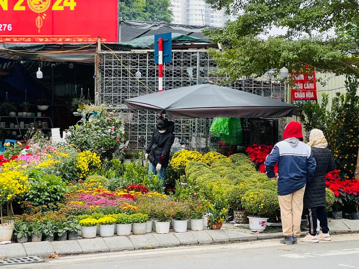 Tiểu thương bán cây cảnh Tết gồng mình trong giá rét - Ảnh 3. Tiểu thương bán cây cảnh Tết gồng mình trong giá rét - Ảnh 3.
