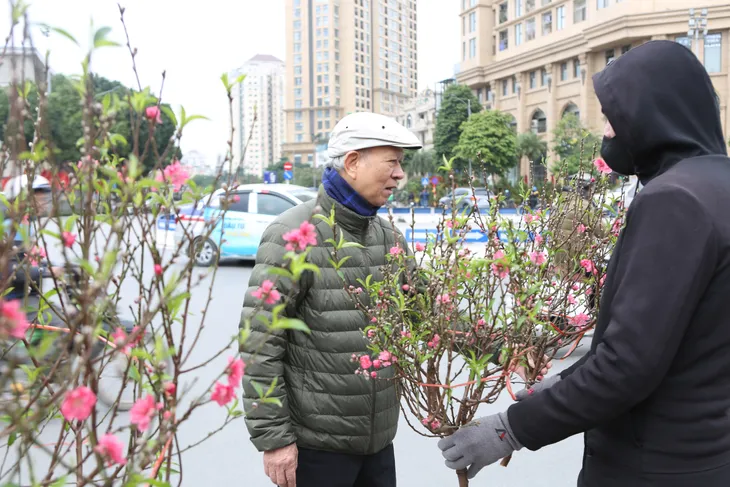Nhộn nhịp các tuyến phố bán cây cảnh Tết - Ảnh 2. Nhộn nhịp các tuyến phố bán cây cảnh Tết - Ảnh 2.