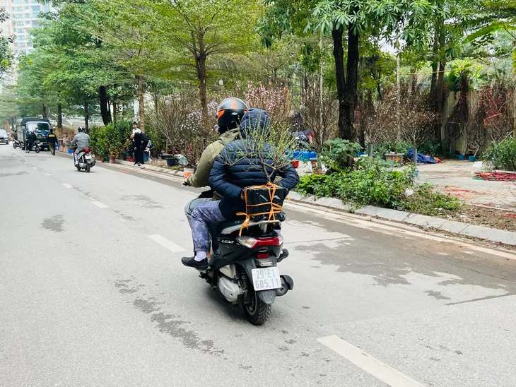 Nhộn nhịp các tuyến phố bán cây cảnh Tết - Ảnh 4. Nhộn nhịp các tuyến phố bán cây cảnh Tết - Ảnh 4.