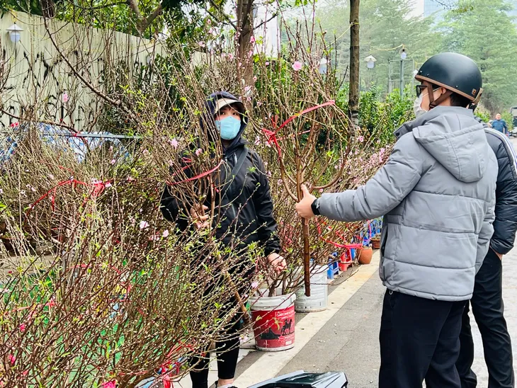 Nhộn nhịp các tuyến phố bán cây cảnh Tết - Ảnh 7. Nhộn nhịp các tuyến phố bán cây cảnh Tết - Ảnh 7.