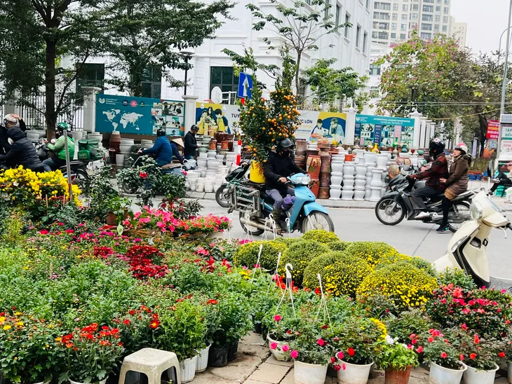 Nhộn nhịp các tuyến phố bán cây cảnh Tết - Ảnh 9. Nhộn nhịp các tuyến phố bán cây cảnh Tết - Ảnh 9.