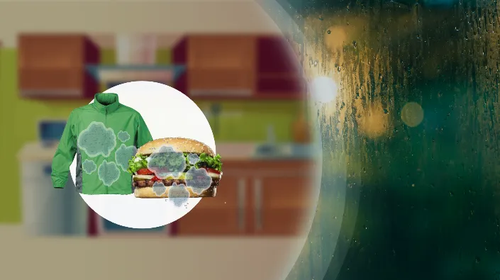 Nồm ẩm ở miền Bắc sẽ kéo dài đến khi nào? - Ảnh 3. Nồm ẩm ở miền Bắc sẽ kéo dài đến khi nào? - Ảnh 3.