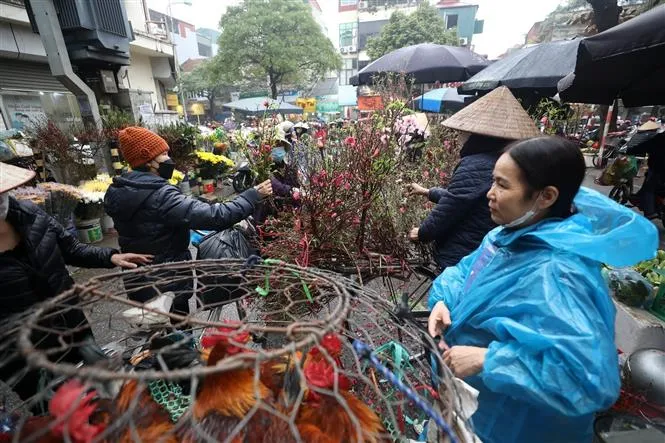 Hàng hóa Tết đa dạng, giá cả ổn định - Ảnh 1. Hàng hóa Tết đa dạng, giá cả ổn định - Ảnh 1.