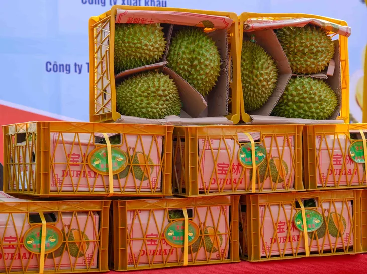 Xuất khẩu hàng hóa cả nước tháng đầu năm 2024 đạt 33,6 tỷ USD - Ảnh 1. Xuất khẩu hàng hóa cả nước tháng đầu năm 2024 đạt 33,6 tỷ USD - Ảnh 1.