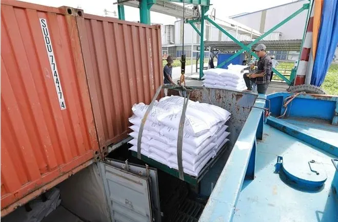 Cơ hội và thách thức của lúa gạo Việt Nam - Ảnh 1. Cơ hội và thách thức của lúa gạo Việt Nam - Ảnh 1.