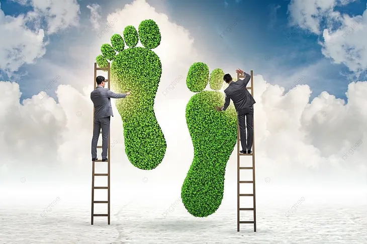 Giảm thiểu dấu chân carbon trong ngành chăn nuôi - Ảnh 1. Giảm thiểu dấu chân carbon trong ngành chăn nuôi - Ảnh 1.