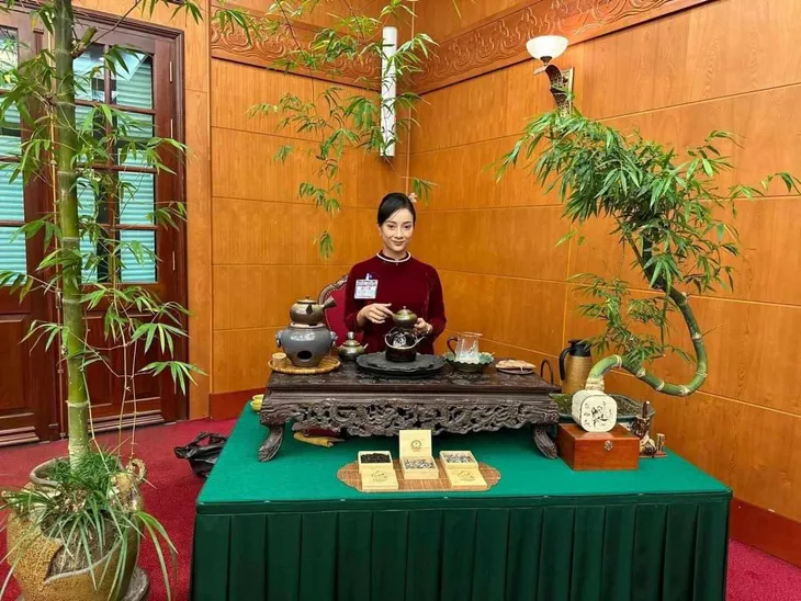 Chàng nghệ nhân bonsai 9x với khát khao lan tỏa giá trị cây tre Việt Nam - Ảnh 2. Chàng nghệ nhân bonsai 9x với khát khao lan tỏa giá trị cây tre Việt Nam - Ảnh 2.