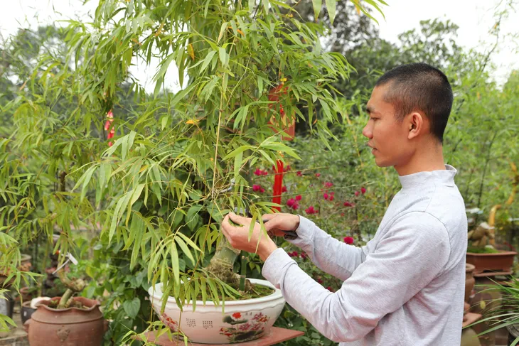 Chàng nghệ nhân bonsai 9x với khát khao lan tỏa giá trị cây tre Việt Nam - Ảnh 5. Chàng nghệ nhân bonsai 9x với khát khao lan tỏa giá trị cây tre Việt Nam - Ảnh 5.