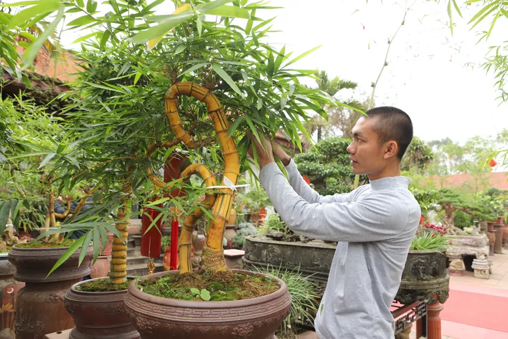 Chàng nghệ nhân bonsai 9x với khát khao lan tỏa giá trị cây tre Việt Nam - Ảnh 3. Chàng nghệ nhân bonsai 9x với khát khao lan tỏa giá trị cây tre Việt Nam - Ảnh 3.