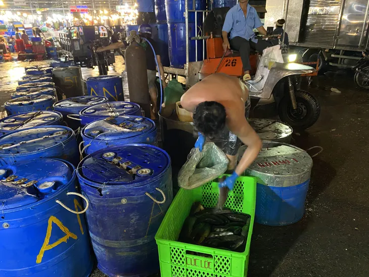 Chợ cá lóc ở TP Hồ Chí Minh nhộn nhịp ngày vía Thần Tài - Ảnh 1. Chợ cá lóc ở TP Hồ Chí Minh nhộn nhịp ngày vía Thần Tài - Ảnh 1.