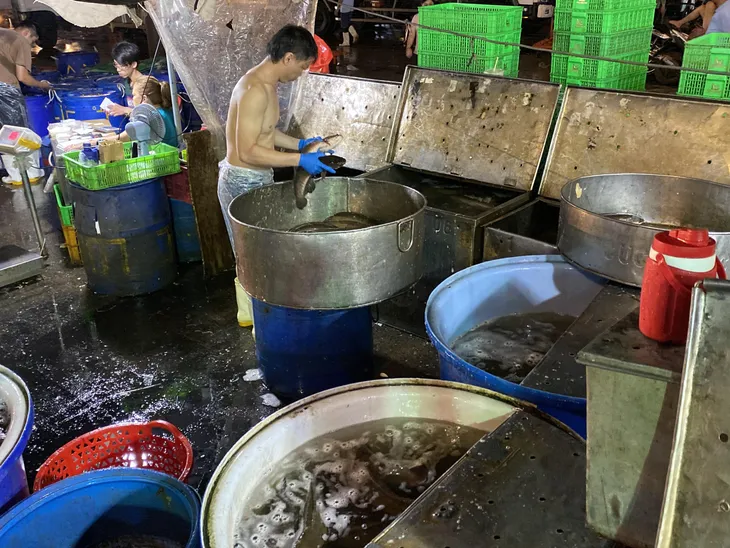 Chợ cá lóc ở TP Hồ Chí Minh nhộn nhịp ngày vía Thần Tài - Ảnh 6. Chợ cá lóc ở TP Hồ Chí Minh nhộn nhịp ngày vía Thần Tài - Ảnh 6.