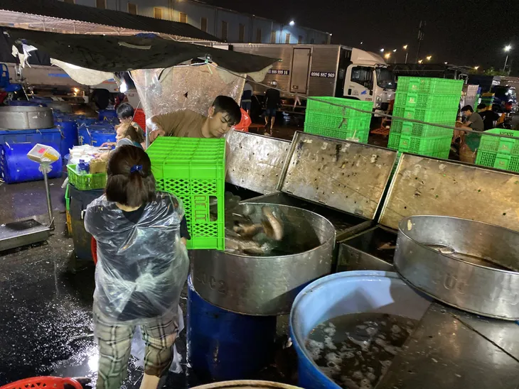 Chợ cá lóc ở TP Hồ Chí Minh nhộn nhịp ngày vía Thần Tài - Ảnh 5. Chợ cá lóc ở TP Hồ Chí Minh nhộn nhịp ngày vía Thần Tài - Ảnh 5.