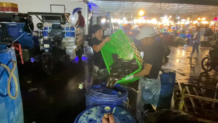 Chợ cá lóc ở TP Hồ Chí Minh nhộn nhịp ngày vía Thần Tài - Ảnh 9. Chợ cá lóc ở TP Hồ Chí Minh nhộn nhịp ngày vía Thần Tài - Ảnh 9.