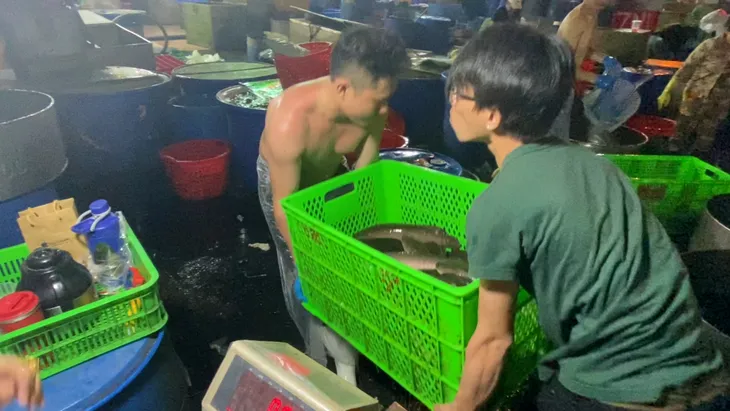 Chợ cá lóc ở TP Hồ Chí Minh nhộn nhịp ngày vía Thần Tài - Ảnh 10. Chợ cá lóc ở TP Hồ Chí Minh nhộn nhịp ngày vía Thần Tài - Ảnh 10.