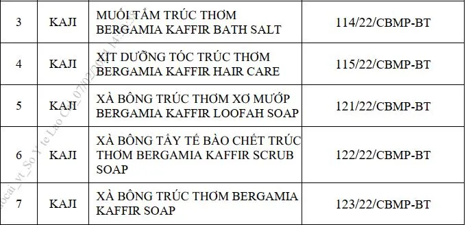 Thu hồi 7 mỹ phẩm sản xuất tại cơ sở không đáp ứng các điều kiện - Ảnh 2.