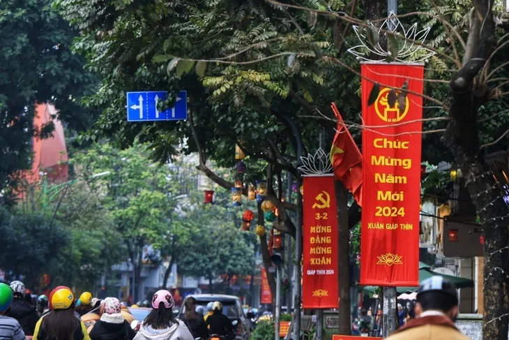 Hà Nội trang hoàng rực rỡ cờ hoa đón chào năm mới - Ảnh 3.