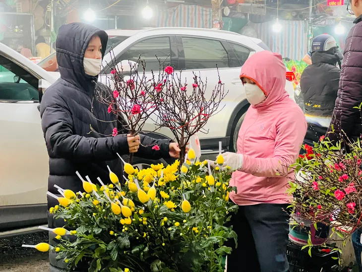Hoa đào trong ngày Tết Nguyên Đán - Ảnh 9. Hoa đào trong ngày Tết Nguyên Đán - Ảnh 9.