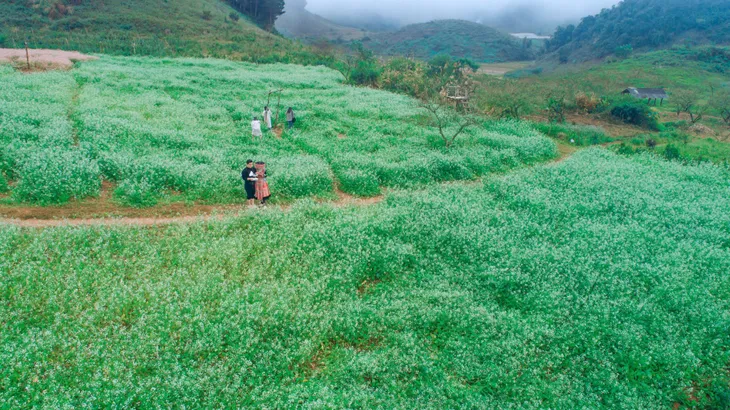 Sơn La phấn đấu doanh thu đạt trên 5.500 tỷ đồng du lịch - Ảnh 2. Sơn La phấn đấu doanh thu đạt trên 5.500 tỷ đồng du lịch - Ảnh 2.