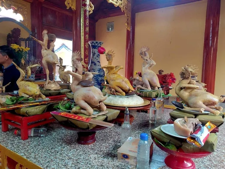 Cận cảnh phi đội gà bay ấn tượng tại Hà Tĩnh - Ảnh 2. Cận cảnh phi đội gà bay ấn tượng tại Hà Tĩnh - Ảnh 2.