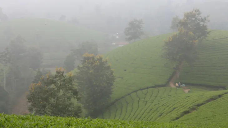 Phú Thọ hướng đến phát triển du lịch cộng đồng - Ảnh 3. Phú Thọ hướng đến phát triển du lịch cộng đồng - Ảnh 3.