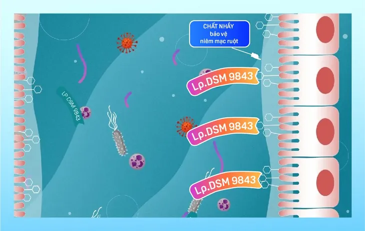 Chủng men vi sinh BioGastro•IBS® được Tổ chức tiêu hóa Thế giới (WGO) đề xuất - Ảnh 2. Chủng men vi sinh BioGastro•IBS® được Tổ chức tiêu hóa Thế giới (WGO) đề xuất - Ảnh 2.
