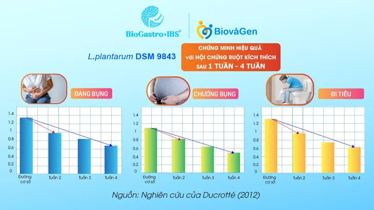 Chủng men vi sinh BioGastro•IBS® được Tổ chức tiêu hóa Thế giới (WGO) đề xuất - Ảnh 3. Chủng men vi sinh BioGastro•IBS® được Tổ chức tiêu hóa Thế giới (WGO) đề xuất - Ảnh 3.
