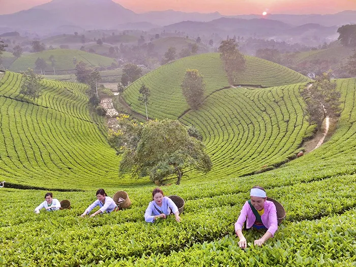 Phú Thọ hướng đến phát triển du lịch cộng đồng - Ảnh 4. Phú Thọ hướng đến phát triển du lịch cộng đồng - Ảnh 4.