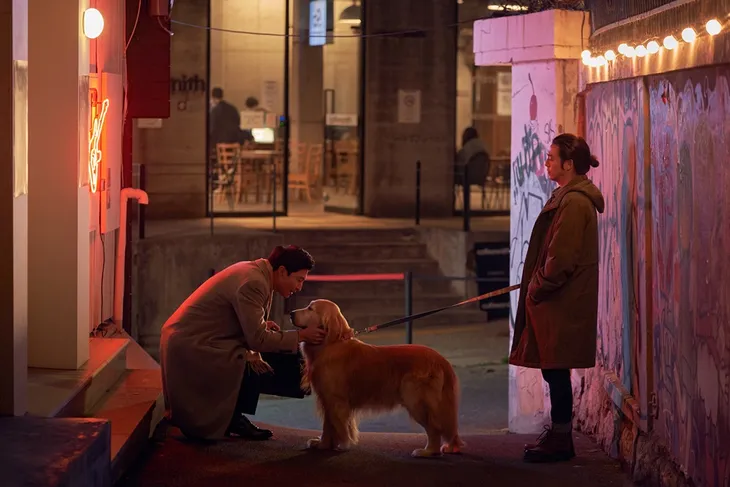Dog Days phiên bản Hàn có gì hay? - Ảnh 2. Dog Days phiên bản Hàn có gì hay? - Ảnh 2.