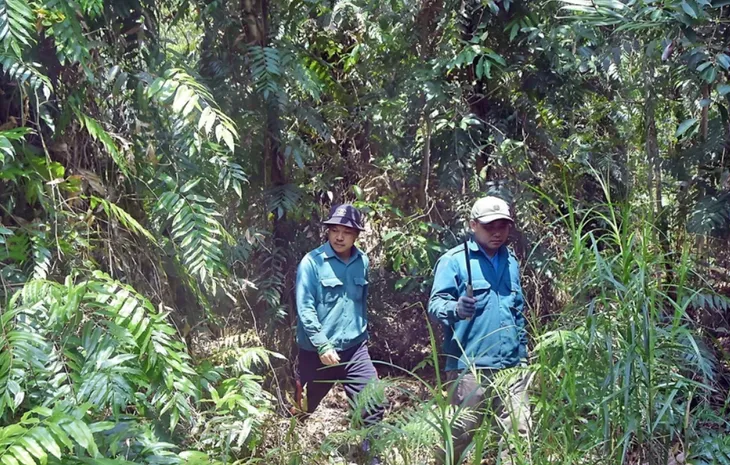 Rừng Cà Mau nguy cơ cháy cao trong mùa khô khắc nghiệt - Ảnh 1. Rừng Cà Mau nguy cơ cháy cao trong mùa khô khắc nghiệt - Ảnh 1.