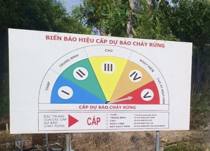 Rừng Cà Mau nguy cơ cháy cao trong mùa khô khắc nghiệt - Ảnh 2. Rừng Cà Mau nguy cơ cháy cao trong mùa khô khắc nghiệt - Ảnh 2.