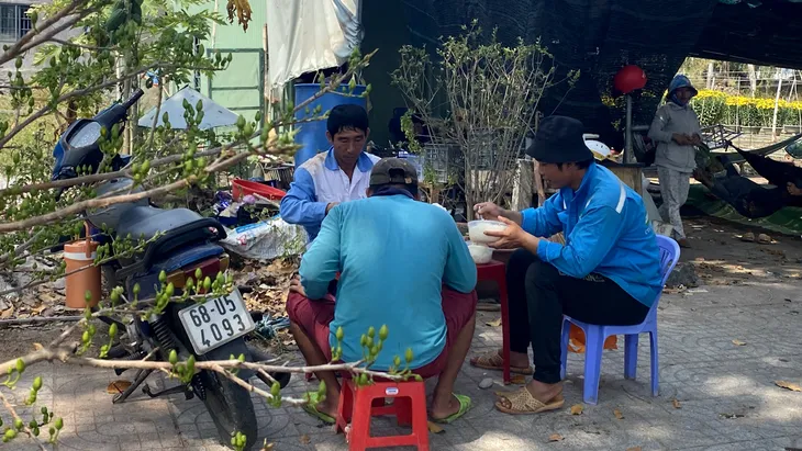 Bà Rịa - Vũng Tàu: Nhà vườn tất bật thu hoạch hoa bán Tết - Ảnh 15. Bà Rịa - Vũng Tàu: Nhà vườn tất bật thu hoạch hoa bán Tết - Ảnh 15.
