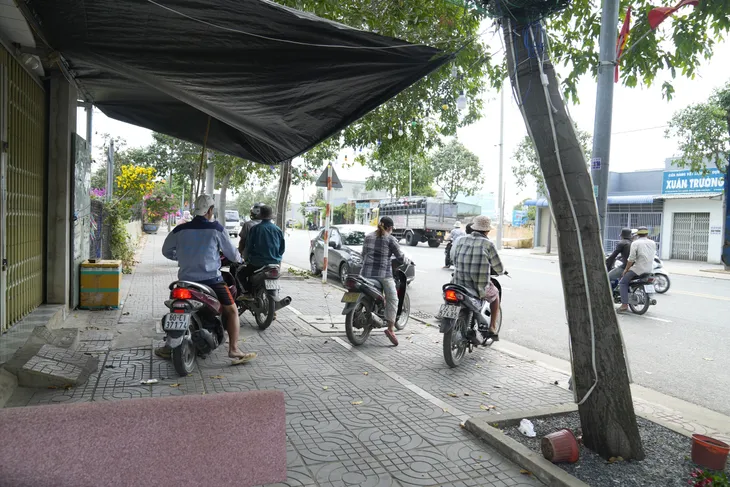 Bà Rịa - Vũng Tàu: Nhà vườn tất bật thu hoạch hoa bán Tết - Ảnh 14. Bà Rịa - Vũng Tàu: Nhà vườn tất bật thu hoạch hoa bán Tết - Ảnh 14.