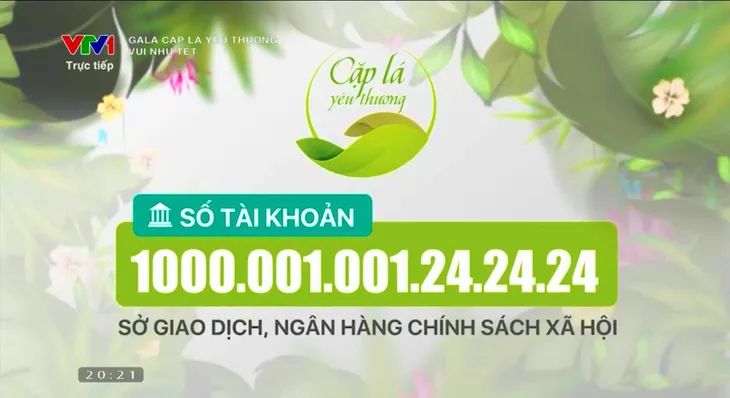 Gala Cặp lá yêu thương “Vui như Tết”: Vui vì những “chiếc lá” tràn đầy hi vọng - Ảnh 10. Gala Cặp lá yêu thương “Vui như Tết”: Vui vì những “chiếc lá” tràn đầy hi vọng - Ảnh 10.