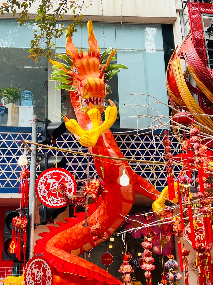 Phố cổ Hà Nội rực rỡ không khí Tết truyền thống - Ảnh 11. Phố cổ Hà Nội rực rỡ không khí Tết truyền thống - Ảnh 11.