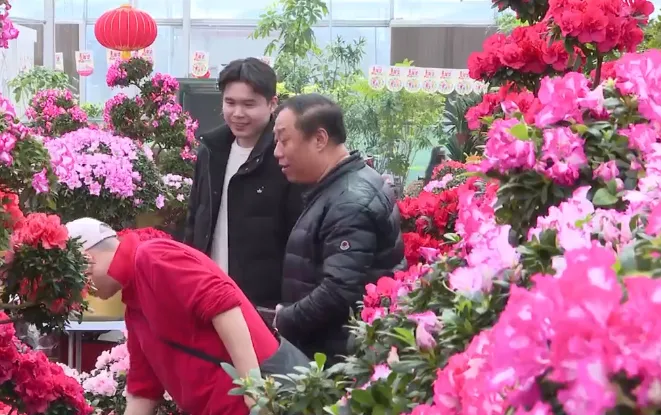 Tấp nập không khí mua sắm tại chợ hoa Tết truyền thống ở Bắc Kinh, Trung Quốc - Ảnh 1. Tấp nập không khí mua sắm tại chợ hoa Tết truyền thống ở Bắc Kinh, Trung Quốc - Ảnh 1.