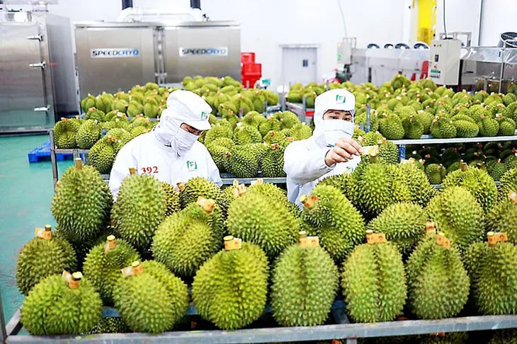 Giải quyết bài toán nguồn nhân lực chất lượng cao cho miền Tây - Ảnh 2. Giải quyết bài toán nguồn nhân lực chất lượng cao cho miền Tây - Ảnh 2.