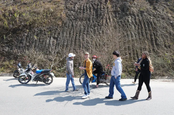 Đường lên Sa Pa nhộn nhịp đào Tết - Ảnh 4. Đường lên Sa Pa nhộn nhịp đào Tết - Ảnh 4.