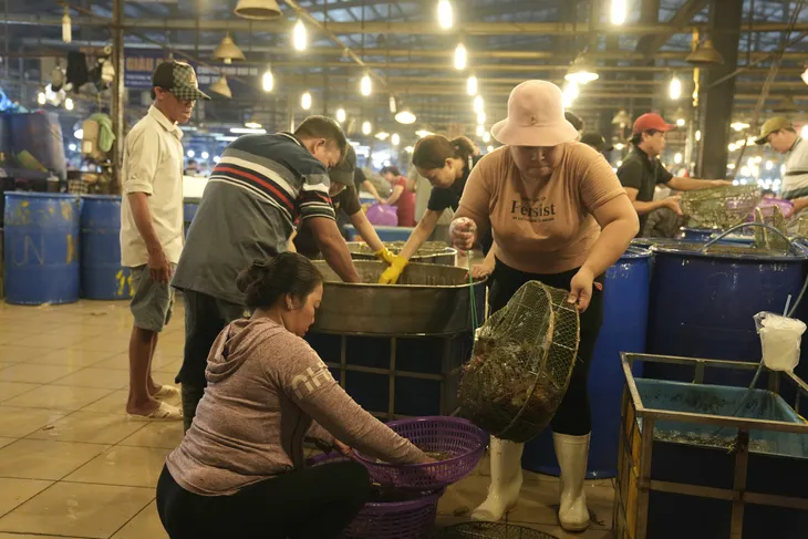Nhộn nhịp chợ đầu mối Bình Điền ngày cuối năm - Ảnh 11. Nhộn nhịp chợ đầu mối Bình Điền ngày cuối năm - Ảnh 11.