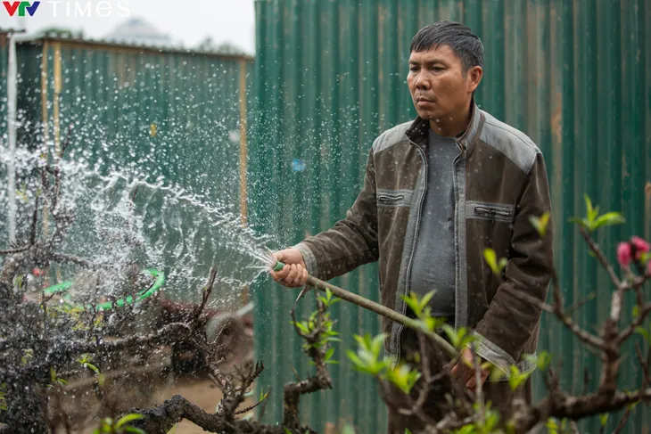 Lão nông xây phòng nghỉ cho đào thất thốn - Ảnh 5. Lão nông xây phòng nghỉ cho đào thất thốn - Ảnh 5.