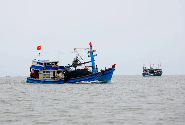 Việt Nam sẵn sàng đón đoàn thanh tra EC về chống khai thác IUU - Ảnh 1. Việt Nam sẵn sàng đón đoàn thanh tra EC về chống khai thác IUU - Ảnh 1.