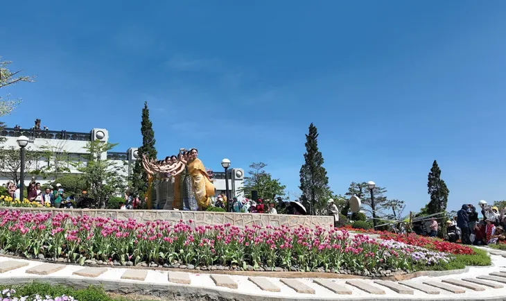 Độc đáo vườn hoa tulip nở rực rỡ trên độ cao 986m ở đỉnh núi Bà Đen - Ảnh 1.