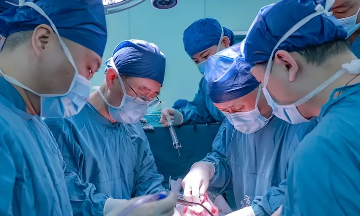 Trung Quốc ghép thành công gan lợn chỉnh sửa gen cho người - Ảnh 1. Trung Quốc ghép thành công gan lợn chỉnh sửa gen cho người - Ảnh 1.