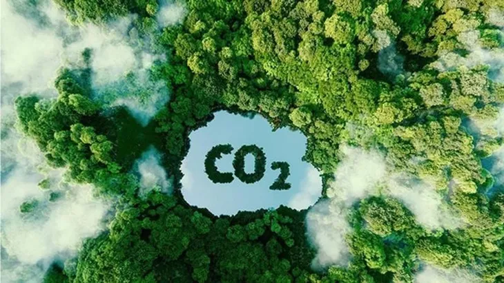 Việt Nam sắp bán trên 5 triệu tín chỉ carbon rừng - Ảnh 1. Việt Nam sắp bán trên 5 triệu tín chỉ carbon rừng - Ảnh 1.