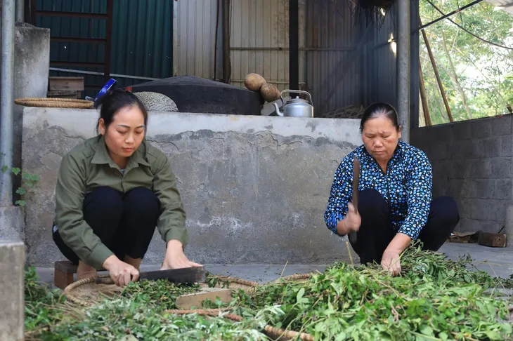 Bảo tồn và phát huy kho báu thuốc nam tại Ninh Bình - Ảnh 2. Bảo tồn và phát huy kho báu thuốc nam tại Ninh Bình - Ảnh 2.