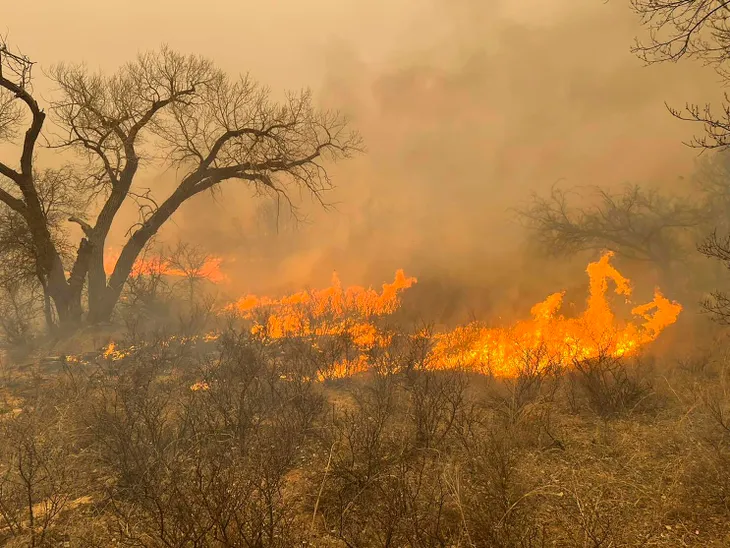 Vụ cháy rừng Smokehouse Creek ở Texas nghiêm trọng nhất trong lịch sử nước Mỹ - Ảnh 1. Vụ cháy rừng Smokehouse Creek ở Texas nghiêm trọng nhất trong lịch sử nước Mỹ - Ảnh 1.