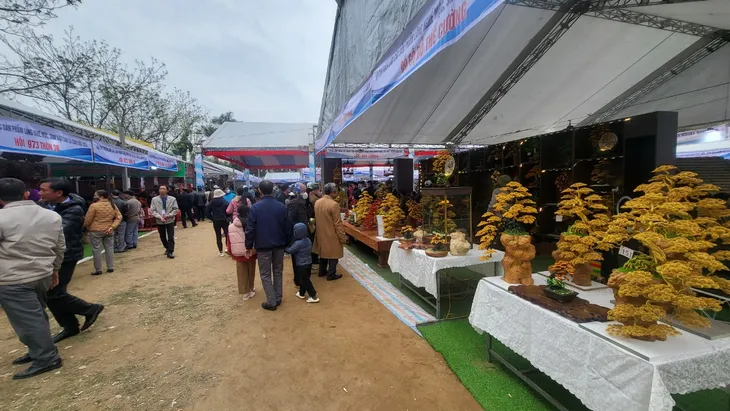 Khai mạc Triển lãm sản phẩm làng nghề mộc, sinh vật cảnh Canh Nậu năm 2024 - Ảnh 1. Khai mạc Triển lãm sản phẩm làng nghề mộc, sinh vật cảnh Canh Nậu năm 2024 - Ảnh 1.