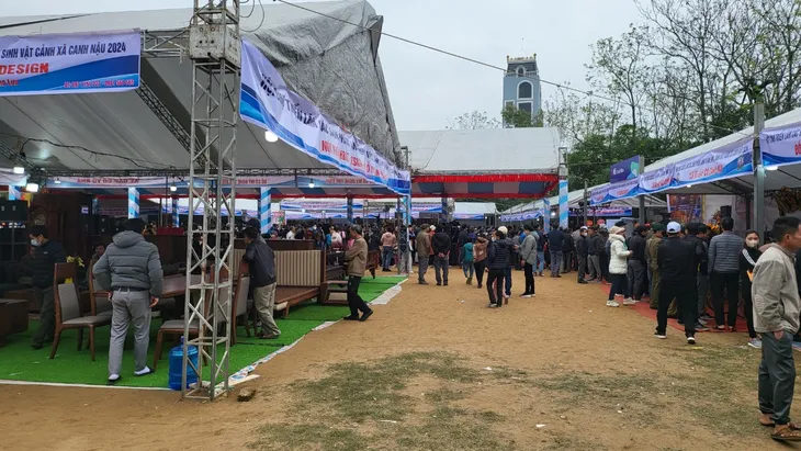 Khai mạc Triển lãm sản phẩm làng nghề mộc, sinh vật cảnh Canh Nậu năm 2024 - Ảnh 2. Khai mạc Triển lãm sản phẩm làng nghề mộc, sinh vật cảnh Canh Nậu năm 2024 - Ảnh 2.